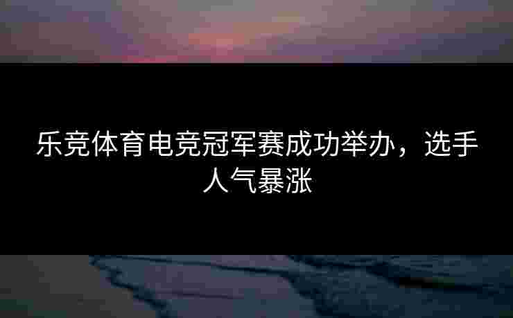 乐竞体育电竞冠军赛成功举办，选手人气暴涨