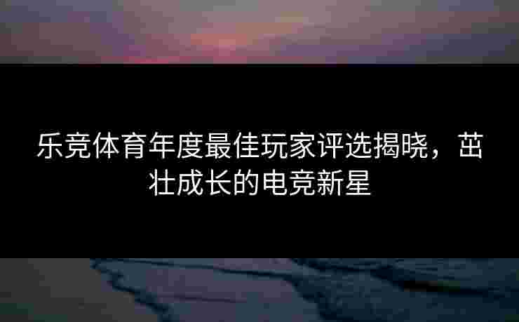 乐竞体育年度最佳玩家评选揭晓，茁壮成长的电竞新星